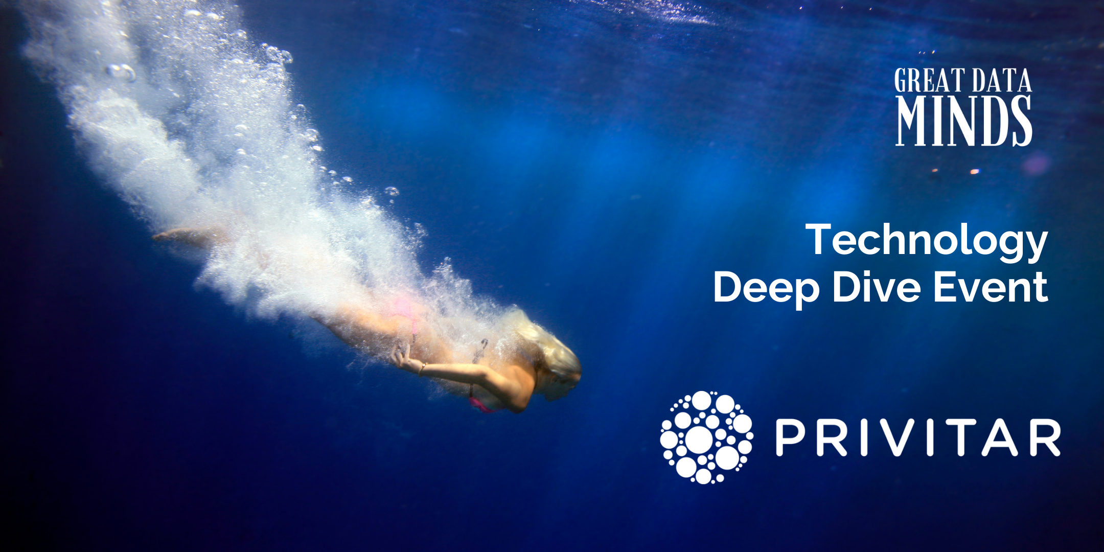 privitar technology deep dive